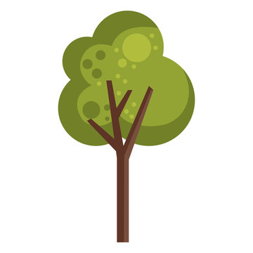 tree plant design