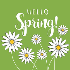 Hello spring! Hello Spring floral vector 