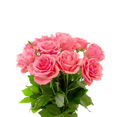 Obraz premium Pink roses bouquet isolated.
