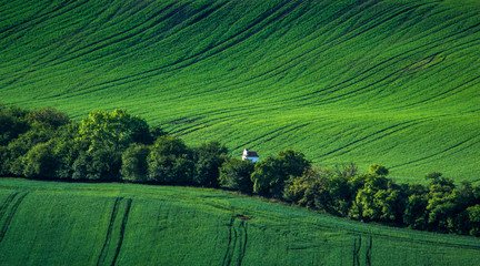 Green and gray spring field abstract background