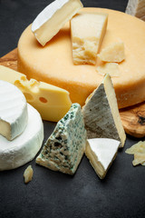 Various types of cheese - parmesan, brie, roquefort, cheddar
