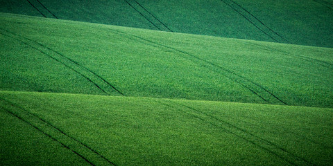 Green and gray spring field abstract background