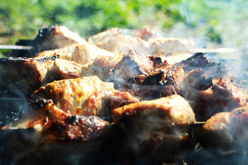 juicy pork kebab in the process of frying on the grill