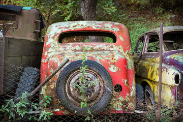 An old vintage rustic retro red colored car in a forest