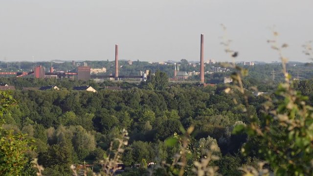 Essen plant with industry in background