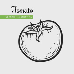 Hand drawn isolated tomato