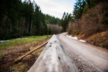 Obraz premium National Park Harz