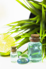 Lime oil skin and hair care home spa. Bottles with blue oil, green leaves. White board background