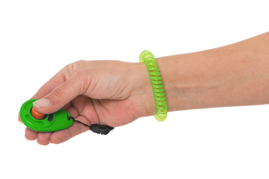 Hand h&auml;lt Klicker f&uuml;r Klickertraining