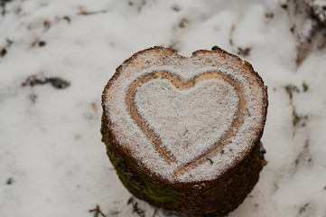 Heart tree snowNational Park Harz