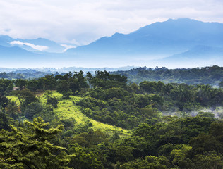 Mexico Jungle Landscape