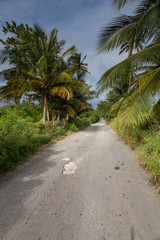 Obraz na płótnie Canvas Tropical Island Road Way