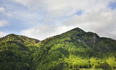 View of mountain near Bled. Slovenia