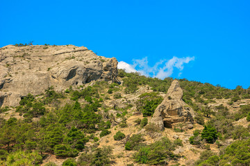 Fototapeta premium Beautiful summer sea landscape in the mountains at the resort in the Crimea