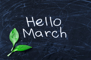 First day of spring..hello march. .background © svitlini