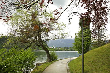 Park in Bled town. Slovenia