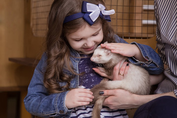 Family in the contact zoo, the mother and daughter are holding a carnivorous white ferret and...