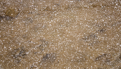 Puddle with snow