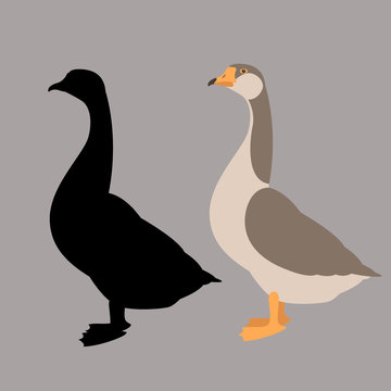 goose vector illustration flat style  silhouette black profile