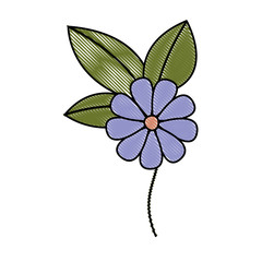 Obraz premium flower and leafs floral decoration vector illustration design