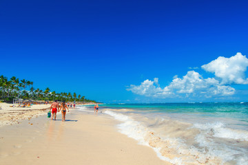 Fototapeta na wymiar The Dominican Republic. Sandy beach and sargas.
