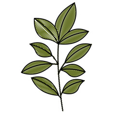 cute leafs decorative icon vector illustration design