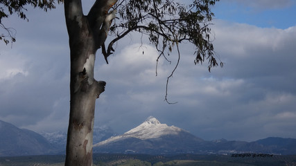 pantano albolote