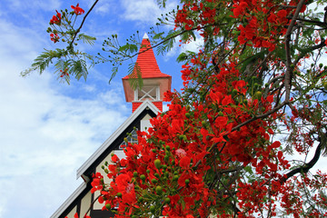 Notre Dame Auxiliatrice at Cap Malheureux, Mauritius