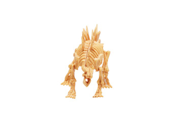 The toy skeleton of a dinosaur.