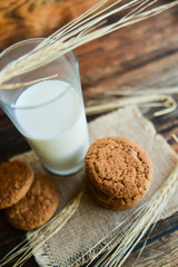 fresh oatmeal cookies and milk on wooden background with spikes of oats