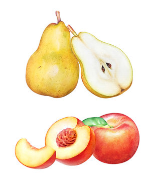 Collection of hand drawn watercolor pears and peaches isolated on white background.
