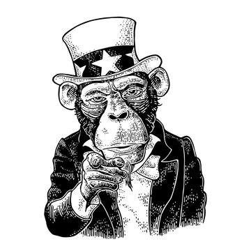 Monkey Uncle Sam with pointing finger at viewer. Vintage engraving