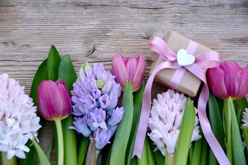 Frühling - Blumen - Frühlingsblumen