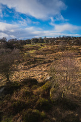 Brimham Rocks