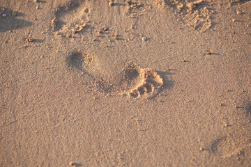 footprint in the sand