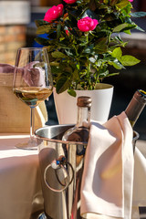 Glass of wine with a flowerpot in a sunny day