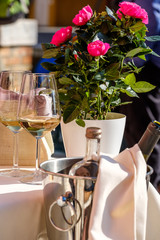 Glass of wine with a flowerpot in a sunny day