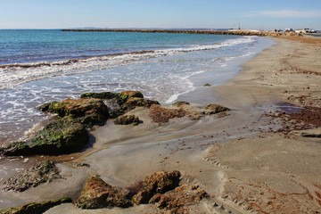 Beach in the morning