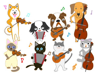 猫と犬のコンサート
