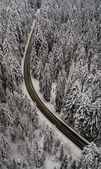 zima droga w lesie © BlackMediaHouse