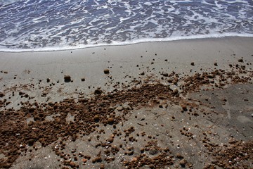 Oceanic Posidonia remains on the shore