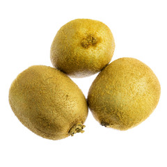 Fototapeta premium Three kiwi fruit isolated on white background