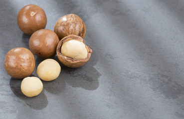 Macadamia nuts - Macadamia integrifolia
