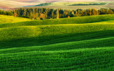 Green field. picturesque hills. beautiful spring field