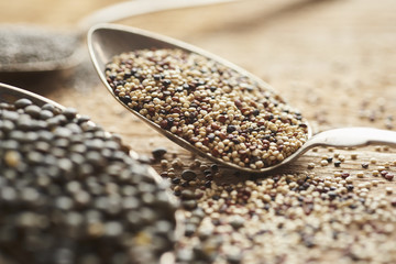 mixed quinoa seeds on old retro silver spoon