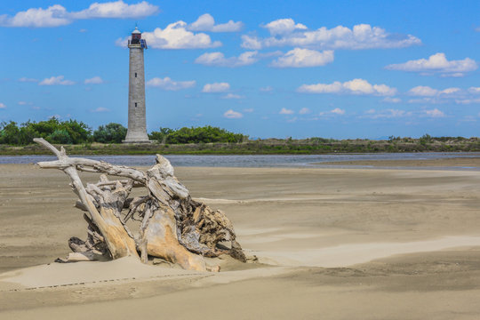 Camargue