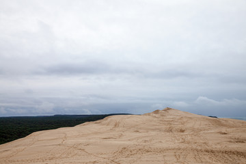 Panorama of the Pilat Dune (Dune du Pilat) during a cloudy afternoon with a pine forest in...