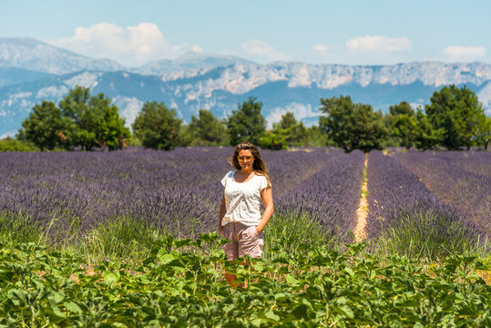 Frankreich, Provence-Alpes-C&ocirc;te d'Azur, Baudinard-sur-Verdon, Lavendelfelder in der Hochebene von Valensole