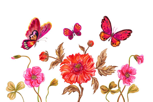 Decorative flowers and butterflies watercolor illustration on white background isolated with clipping path.