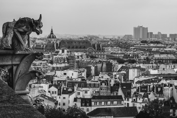 Gargoyle of Notre Dame de Paris, look down from the roof of the cathedral. Black and white photo.